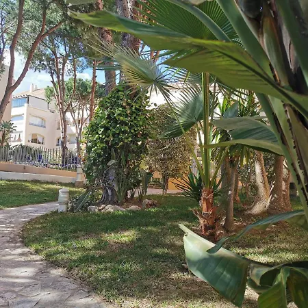 דירה Junto Al Mar Con Gran Terraza *